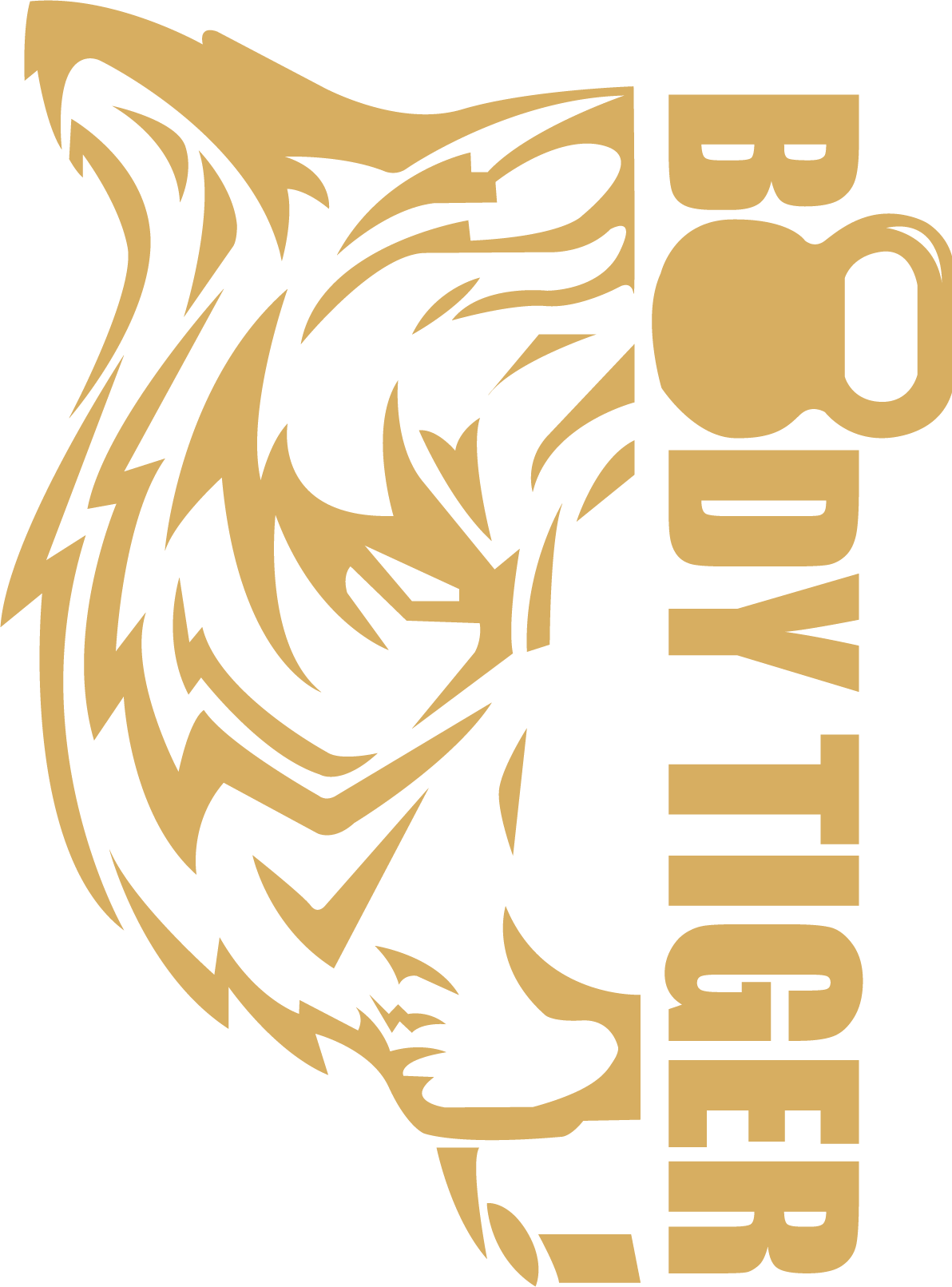 Bodytigercoaching